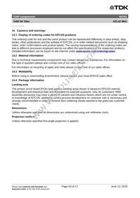 B39431B3791Z810 Datasheet Page 18