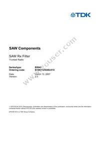 B39821B5046U510 Datasheet Page 3