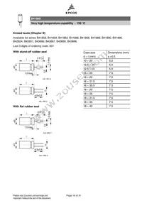 B41868W6108M Datasheet Page 16