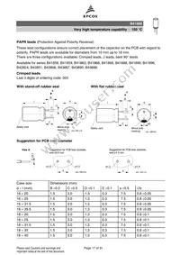 B41868W6108M Datasheet Page 17