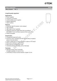 B43641A9687M057 Datasheet Page 2