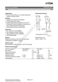 B57213P0800M351 Datasheet Page 2