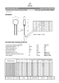 B57234S0509M000 Datasheet Page 2