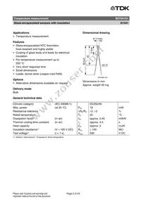 B57541G1104F000 Datasheet Page 2