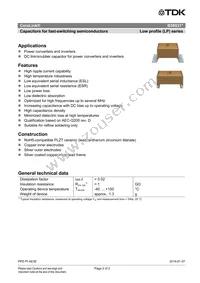 B58031I7504M062 Datasheet Page 2