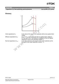 B58031I7504M062 Datasheet Page 20