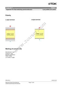 B58031U5105M002 Datasheet Page 7