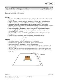 B58031U5105M002 Datasheet Page 19