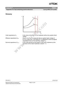 B58031U5105M002 Datasheet Page 21