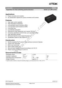 B58033I7106M001 Datasheet Page 2