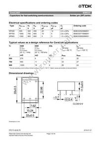 B58033I7106M001 Datasheet Page 3