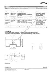 B58033I7106M001 Datasheet Page 12