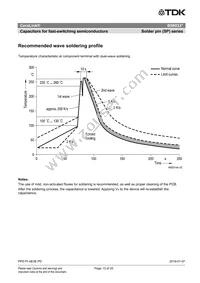 B58033I7106M001 Datasheet Page 13