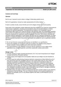 B58033I7106M001 Datasheet Page 17