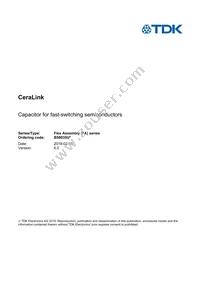 B58035U7155M062 Datasheet Cover