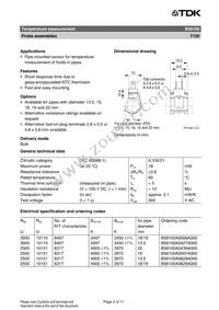 B58100A598A Datasheet Page 2