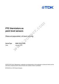 B59011E0160A040 Datasheet Cover