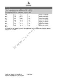 B59604A85A62 Datasheet Page 3