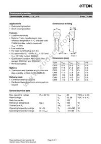 B59965C120A51 Datasheet Page 2