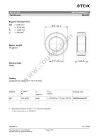 B64290A0044X027 Datasheet Page 2