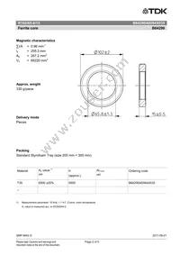 B64290A0084X035 Datasheet Page 2