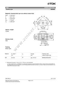 B65805J0063A087 Datasheet Page 2