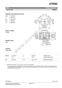 B65805J0160A041 Datasheet Page 2