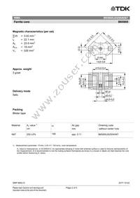 B65805J0250A087 Datasheet Page 2