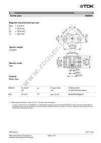 B65805N0020A033 Datasheet Page 2