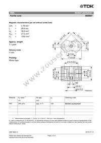 B65807J0250A087 Datasheet Page 2