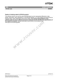 B65807J0250A087 Datasheet Page 4