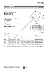 B65808S1108D002 Datasheet Page 11