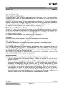 B65811F0250A041 Datasheet Page 3