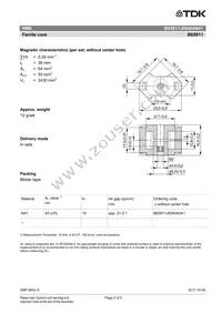 B65811J0040A041 Datasheet Page 2