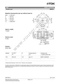 B65811J0250A038 Datasheet Page 2