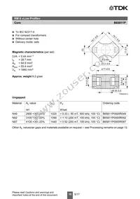 B65812P1012D001 Datasheet Page 10