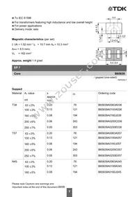 B65840D2000X Datasheet Page 2