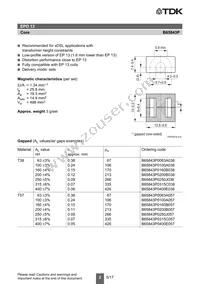 B65843P0250J038 Datasheet Page 2