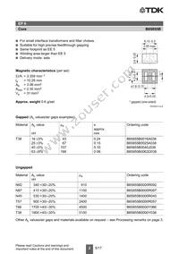 B65855B0000Y038 Datasheet Page 2