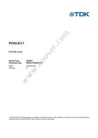 B65931C0000X033 Datasheet Cover