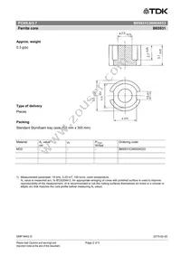 B65931C0000X033 Datasheet Page 2