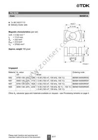 B65981A0000R092 Datasheet Page 2