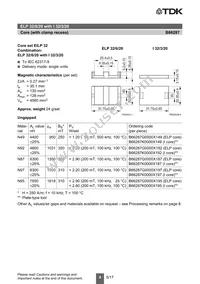 B66287P0000X197 Datasheet Page 4