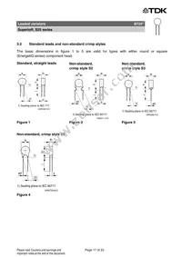 B72225S4581K101 Datasheet Page 17