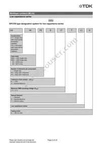 B72762A2170S160 Datasheet Page 2