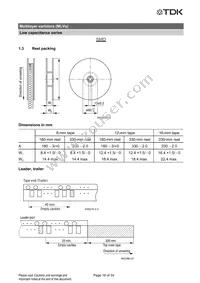 B72762A2170S160 Datasheet Page 16