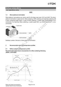 B72762A2170S160 Datasheet Page 20