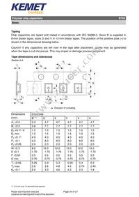 B76010D2279M055 Datasheet Page 20