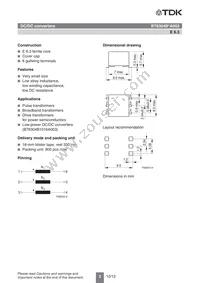 B78304B1030A003 Datasheet Page 2