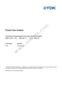 B82725J2602N040 Datasheet Cover